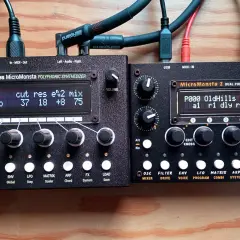 Zwei Audiothingies Micromonsta 2 Synthesizer nebeneinander, bereit für musikalische Erkundungen.