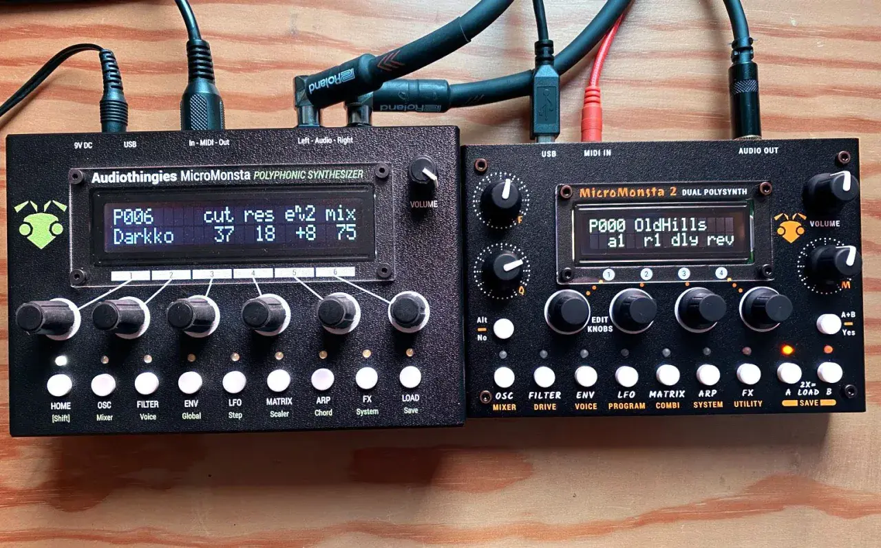 Zwei Audiothingies Micromonsta 2 Synthesizer nebeneinander, bereit für musikalische Erkundungen.